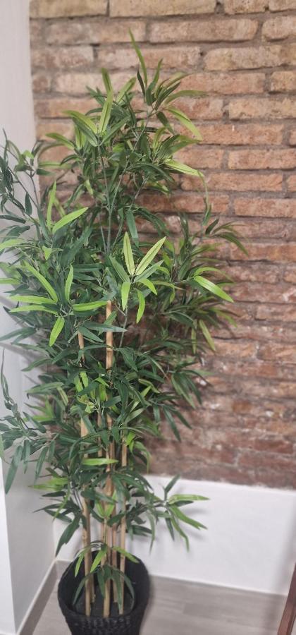 오스피탈레트 데 요브레가트 Barcelona,Apartamento Con Terraza 아파트 외부 사진